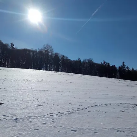 My Little Village