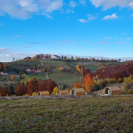 Holiday home My Little Village Poiana Marului (Brasov)