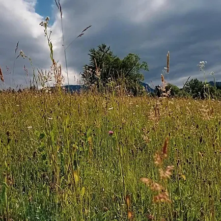 Holiday home My Little Village Poiana Marului (Brasov)